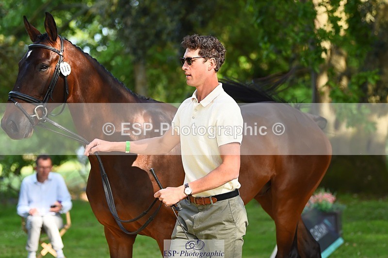 230524-171914-01432 - 176-TENZ-Will_Rawlin-WEDTrotUp+DR