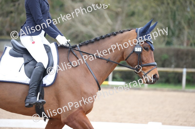 20260228-0075 - Class 2 - Intro 4