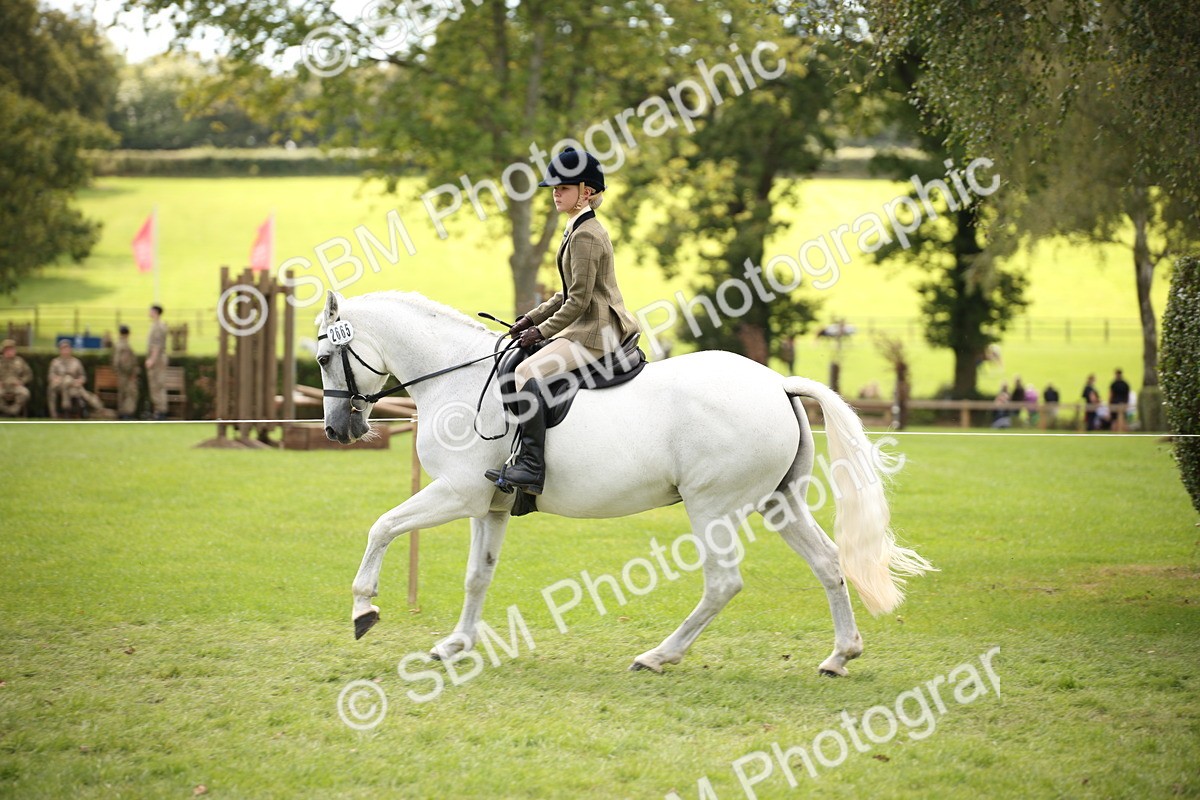 SBM_42330 - S13 - Pony Club Pony
