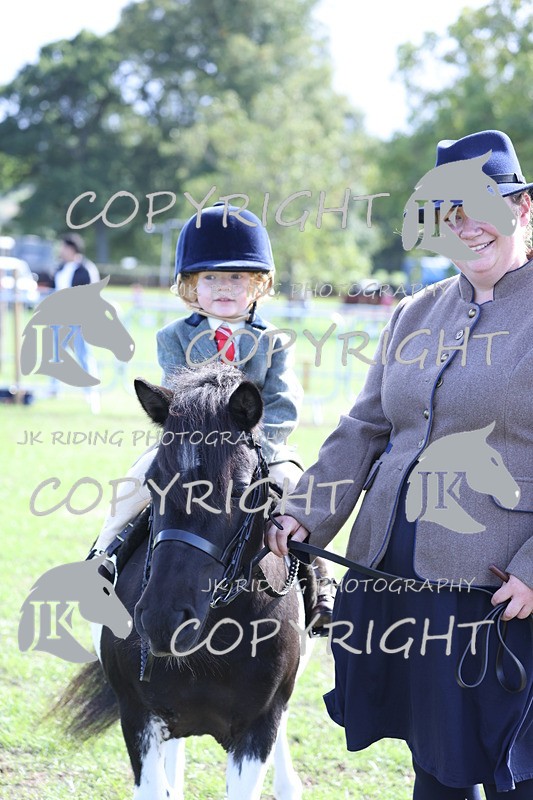 APP_3947 - Class 13 Lead rein