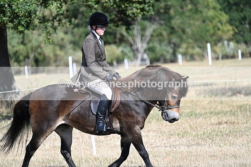 WJ7_2901 - Class 8 Ridden Tack & Turnout