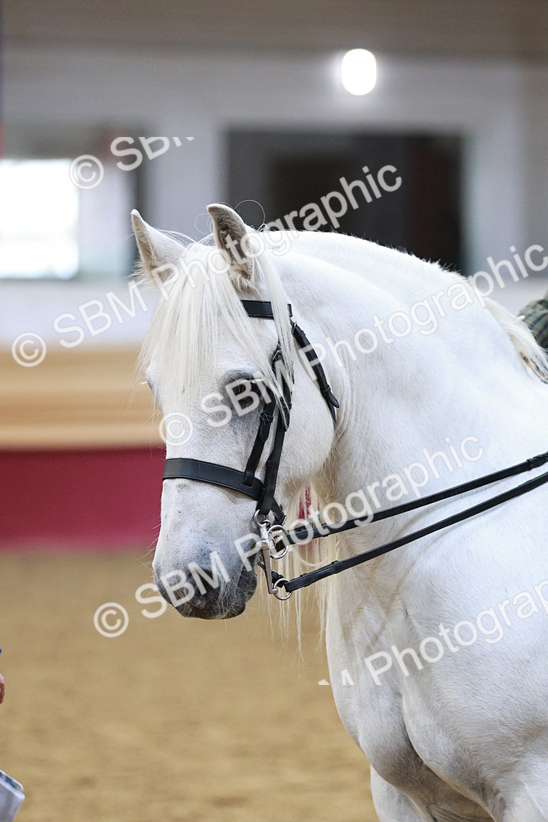 SBM_08244 - Class 11R - Regional Ridden Veteran