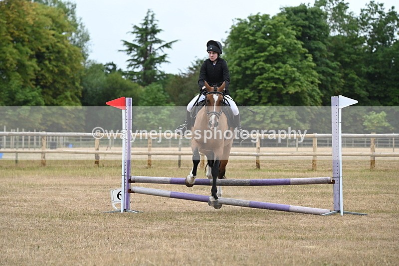 WJ6_0178 - Class 13 Novice Jumping 60cm