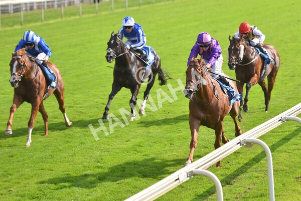 yr05092021r3-17 - Race 3 3.15pm The BioWaveGo Garrowby Stakes