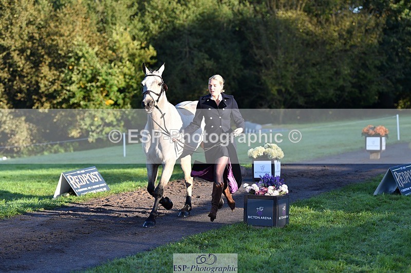 231022-090238-21523 - 619-GARVAGH.GOLDEN.OAK-Ella.Snow-TrotUp+SJ