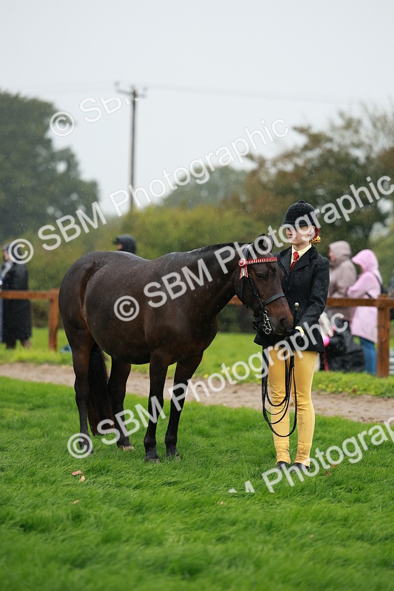 SBM_34917 - S10 - Best In Hand Horse & Pony