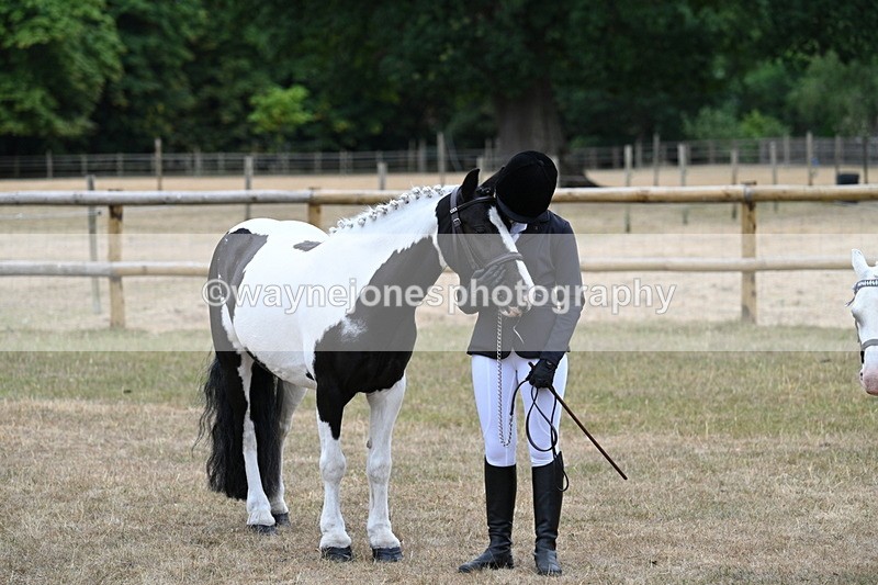 WJ7_8292 - Class 4 Prettiest Mare up to 14.2hh