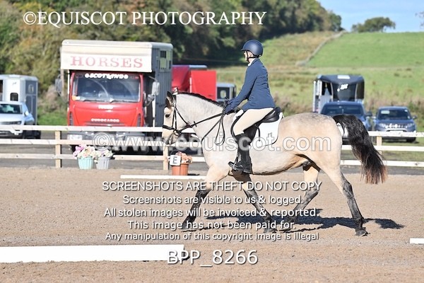 BPP_8266 - SHORT ARENA