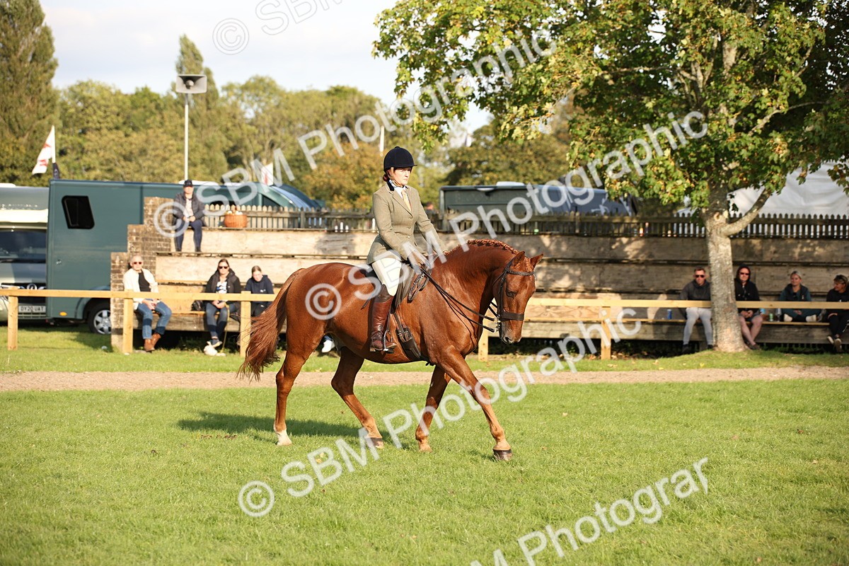 SBM_54310 - S27 - Mature Veteran - Ridden