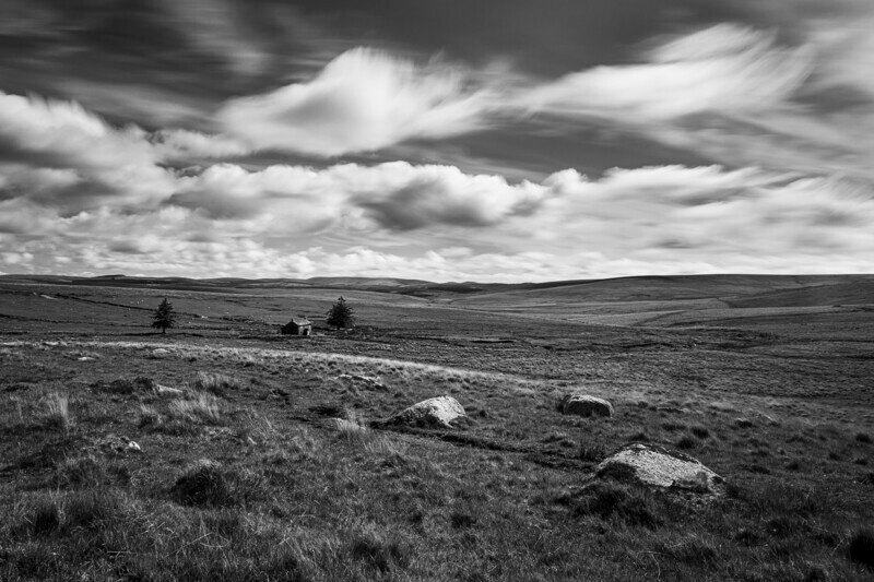 Isolation - Dartmoor