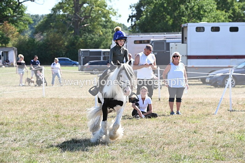 WJ6_8939 - Class 38 Ridden Riding Horse/Pony