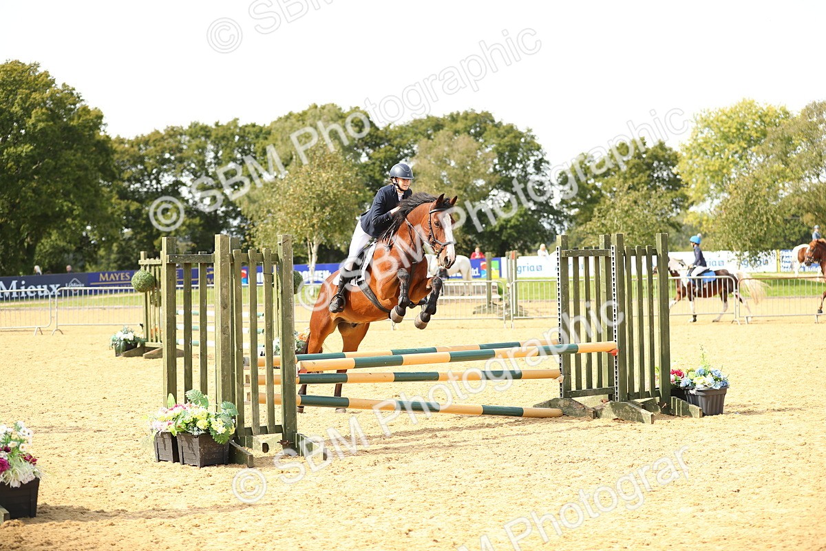 SBM_66186 - J17 - Junior Pony 80cm Championship