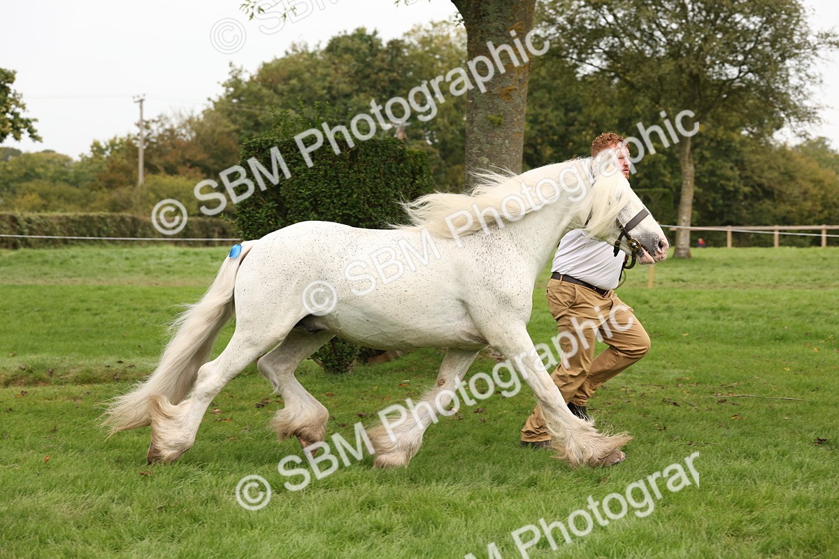 SBM_59303 - S57 - Traditional Cob In Hand