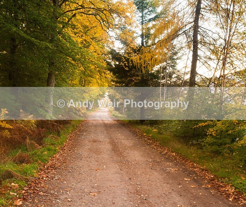 20101024-2938 - Scotland