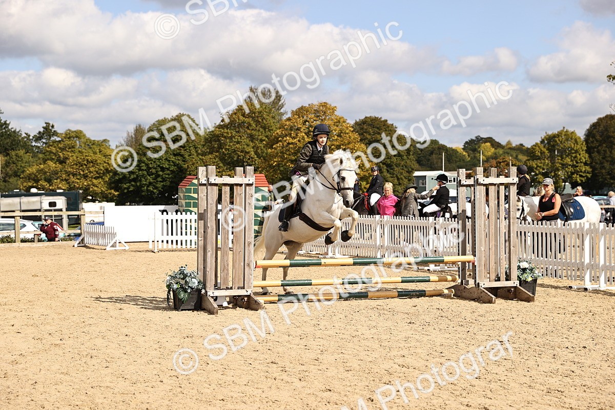 SBM_63800 - J12 - Junior Pony 55cm Championship
