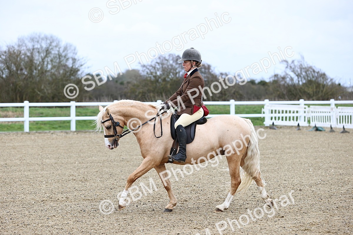 SBM_006848 - Class 29 - 30 - M&M Pure Novice Small-Large Breeds