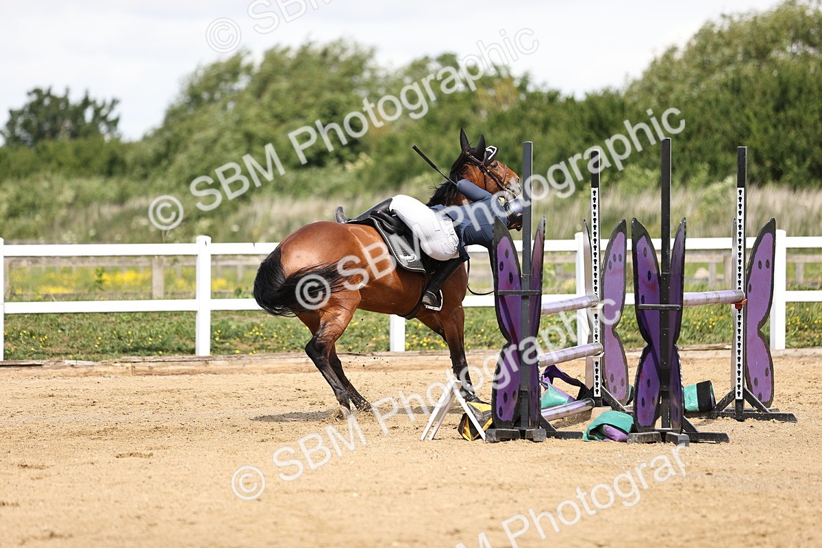 SBM_002292 - Class 9 - Senior British Novice - 90cm