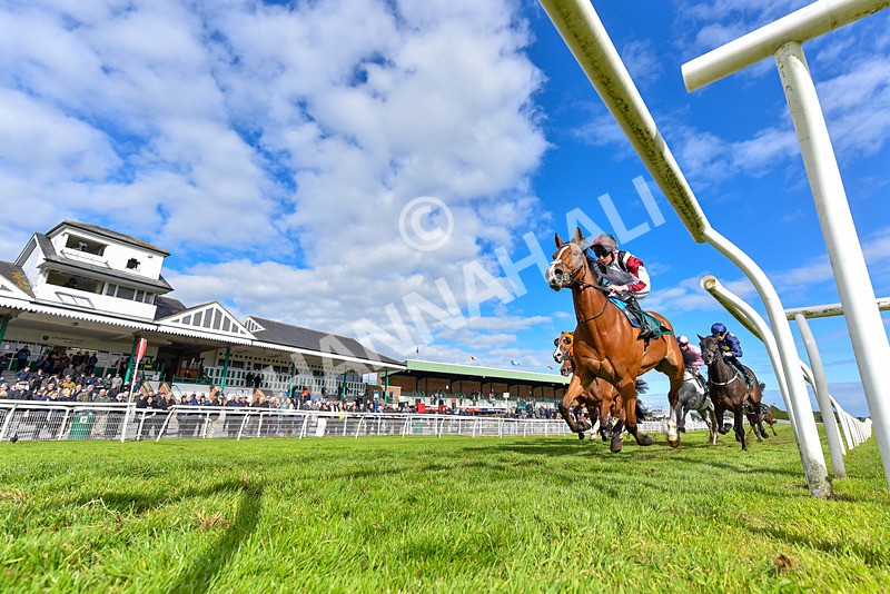 110526-Race 6-Betties Bay-8073 - Race 6 5.00pm Racing Again 21st May Fillies' Handicap