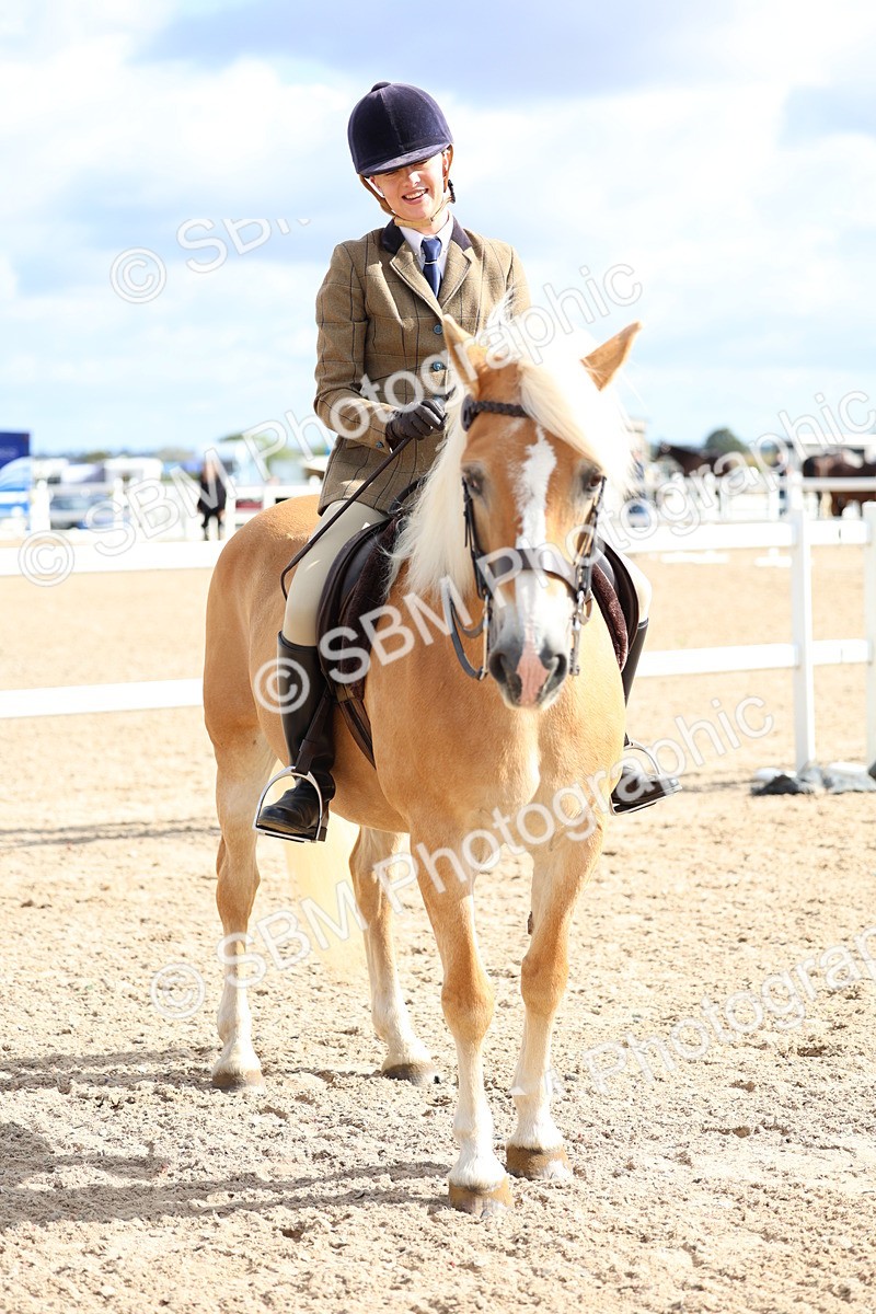 SBM_10818 - Class 305 - Ridden Foreign Breeds - Pure Bred