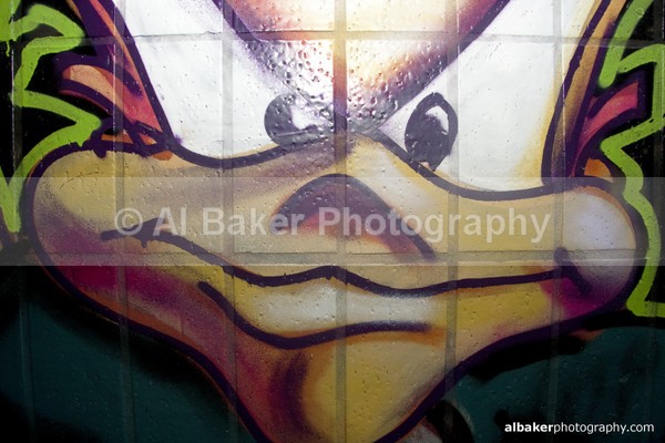 67 - Graffiti Gallery (16)