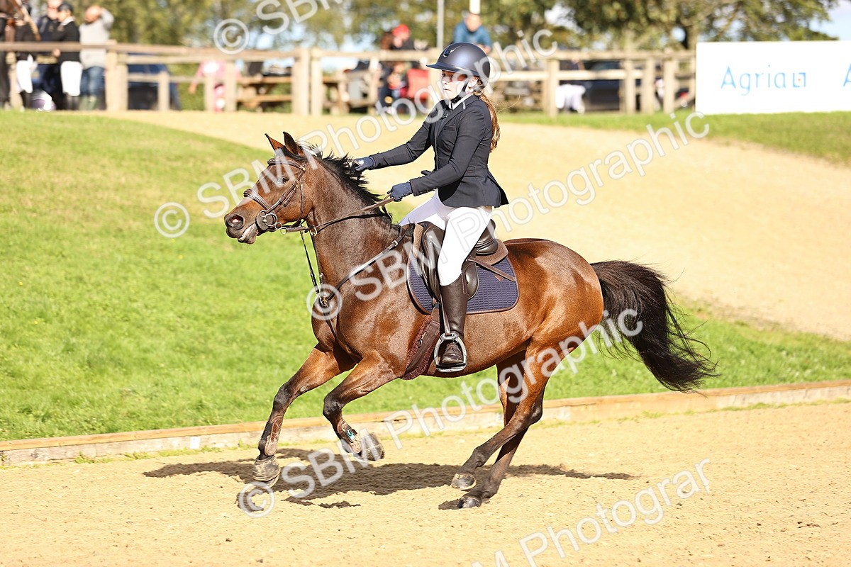 SBM_51384 - J10 - Junior Pony 75cm Championship