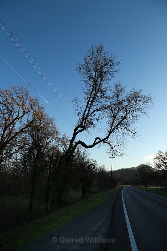 Highway 101 Hopland, California - Roadside