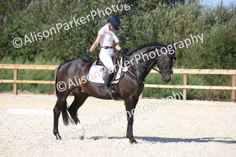 20260905-1645 - Class 5 - Novice 2