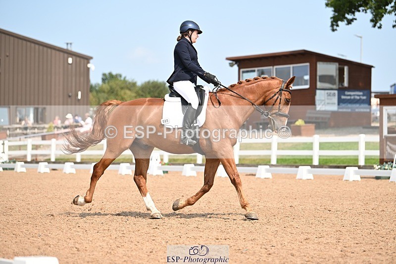 250816-134100-04885 - 080-Elizabeth.StoneZiggy