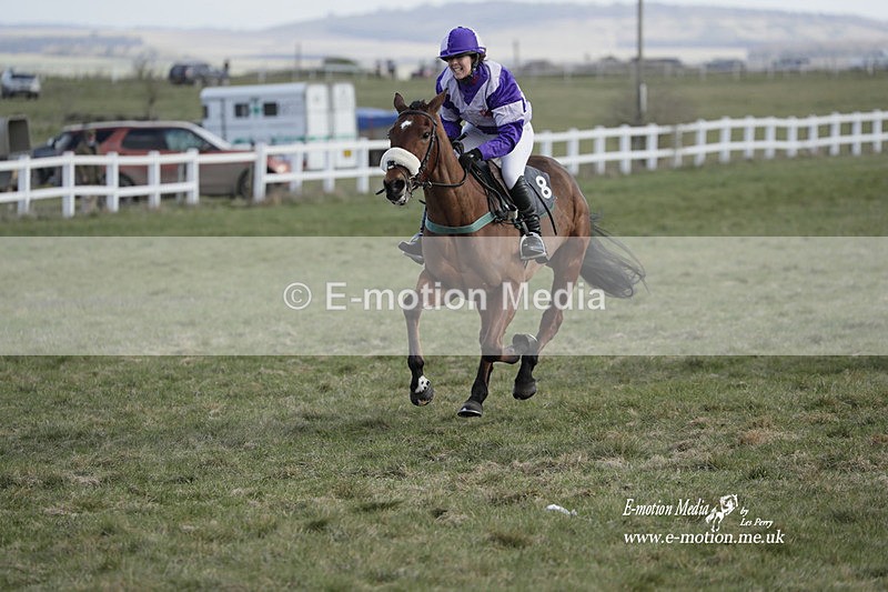 PtP 260223 67 - South & West Wilts Point-to-Point Larkhill 26/02/23