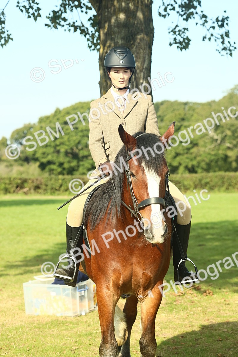 SBM_60007 - S38 - Starters Ridden Showing