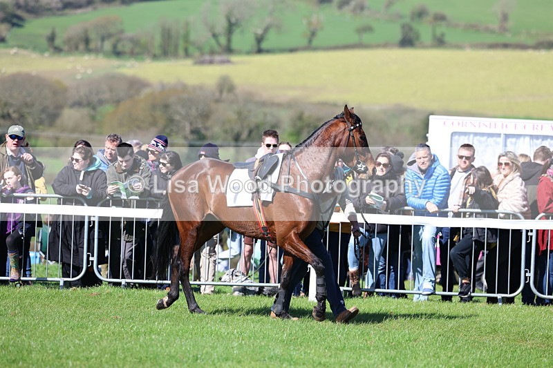 3E7A5260 - Race 4:  Maiden
