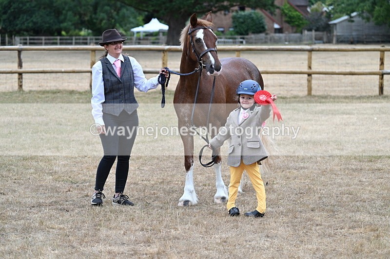 WJ7_8563 - Class 4 Prettiest Mare up to 14.2hh