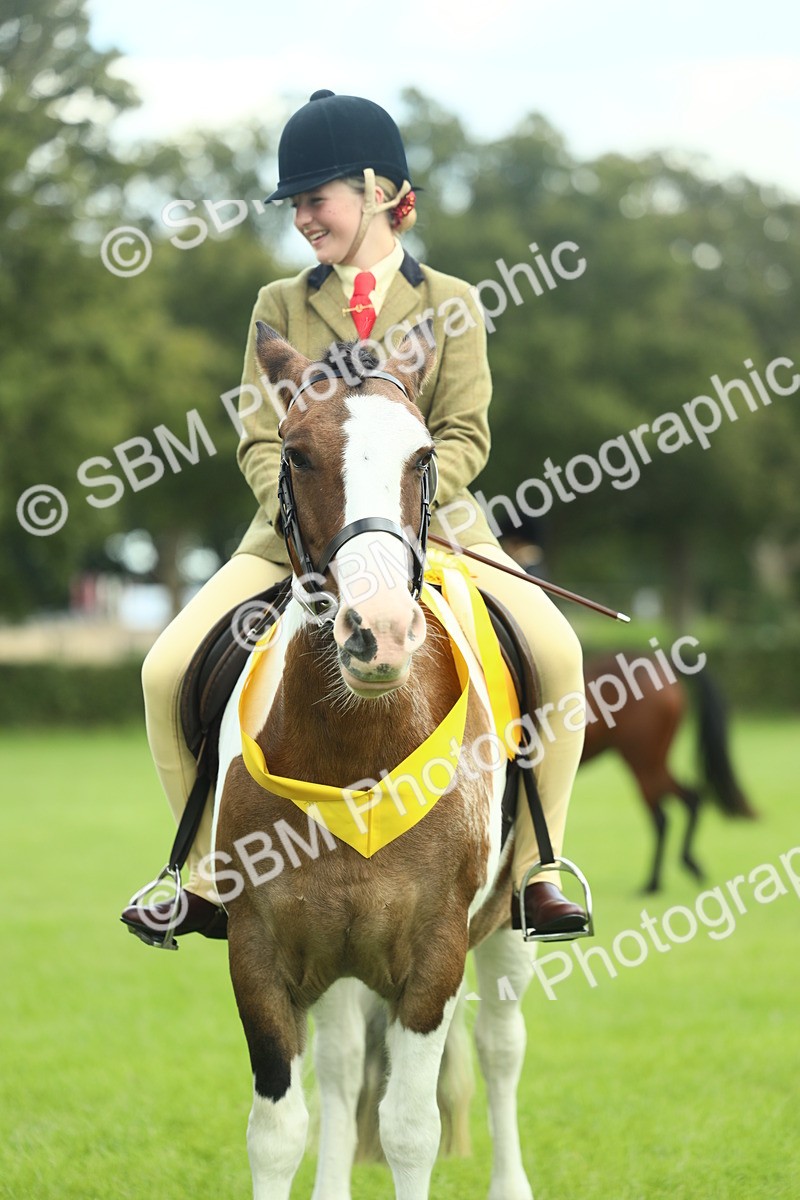 SBM_42182 - S29 - Novice & Newcomers Working Hunter Pony