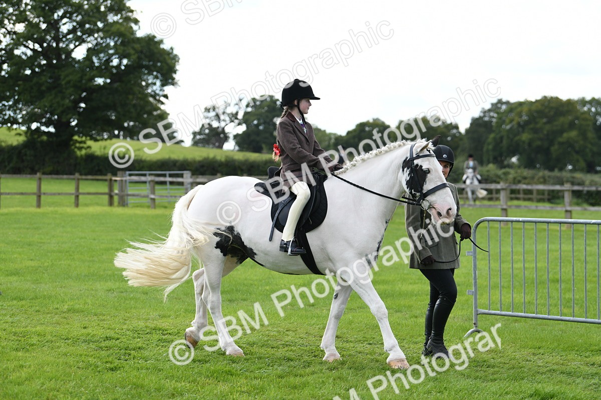 SBM_46683 - S12 - Family Horse & Pony