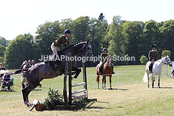IMG_4601 - Working Hunter