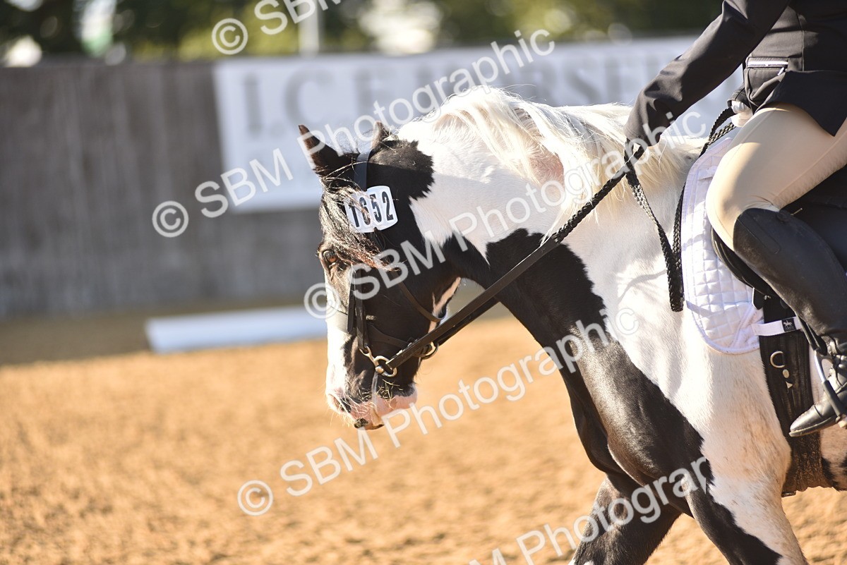 SBM_53360 - D24 - Junior Championship Prelim 3