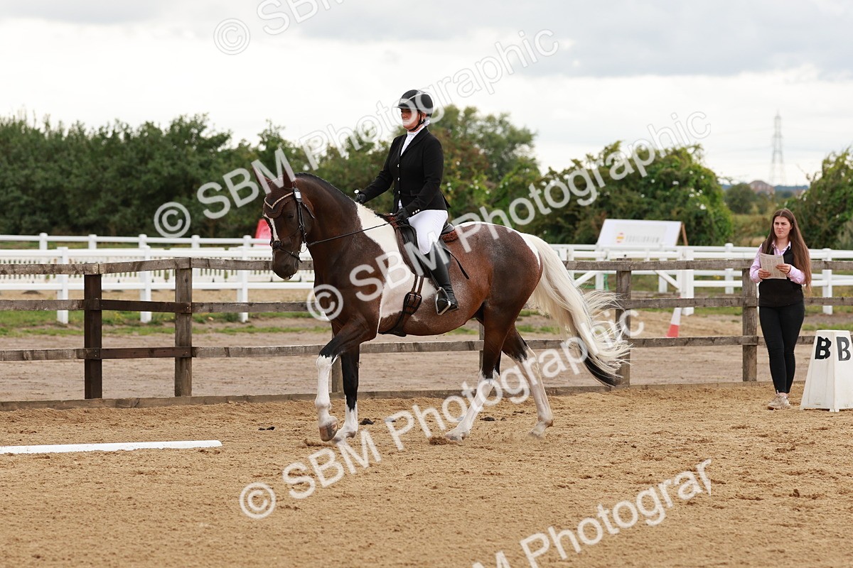 SBM_002765 - Novice 2