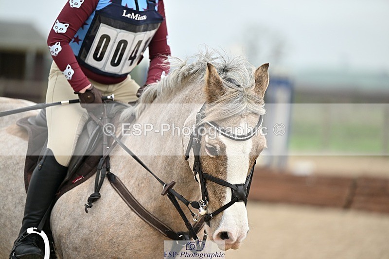 241110-120156-00571 - 50-55cm Arena Eventing