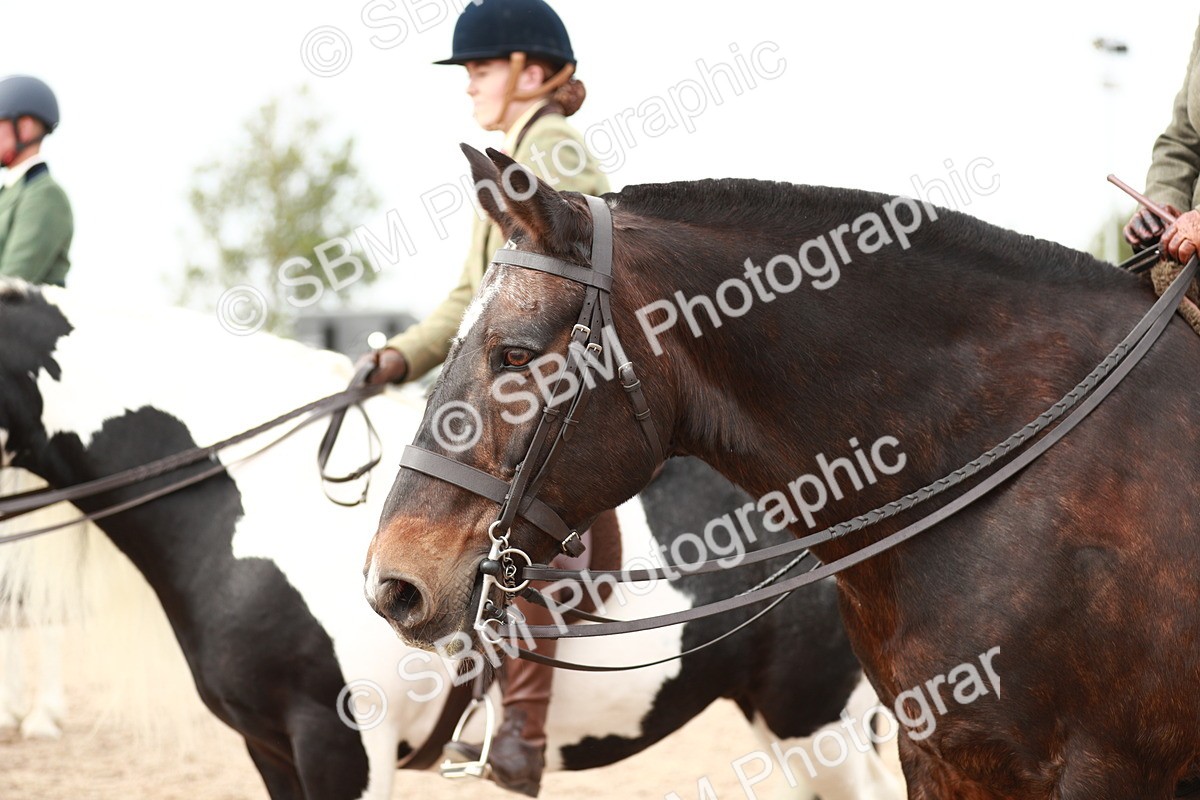 SBM_16746 - Class 214 Ridden Cob
