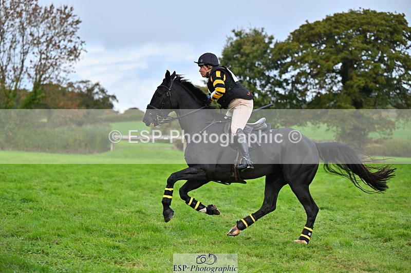 251025A-093501-16268 - D-315-Georgina.Marks