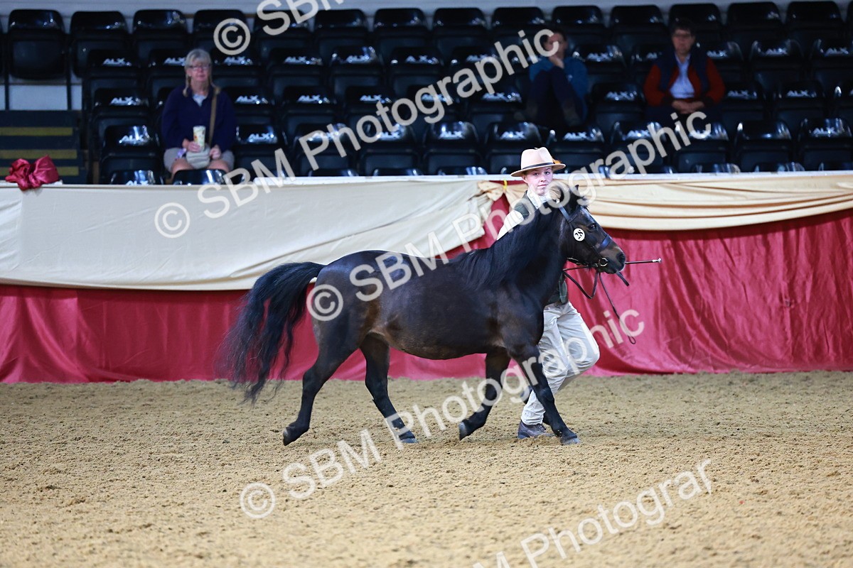 SBM_21794 - Class 901 - Supreme Final - IH  Diamond