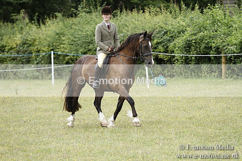 BVR160717-388 - Ring 3 BVRC Show 16/07/17