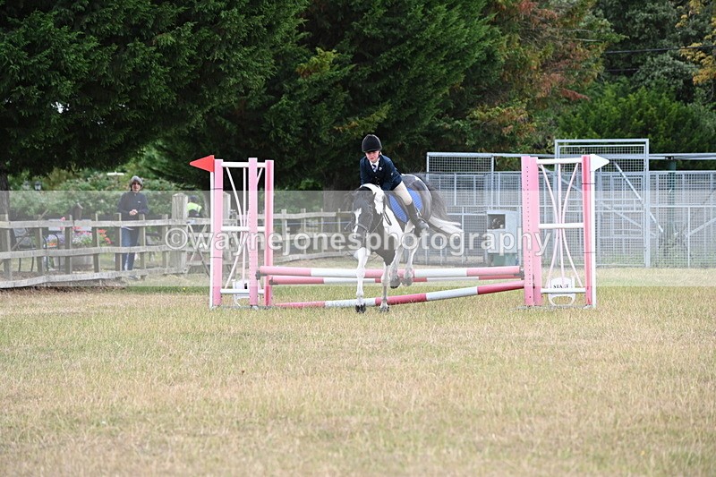 WJ6_9938 - Class 13 Novice Jumping 60cm