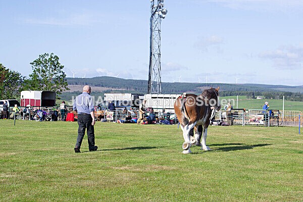 DSC_0046 - Ring 1