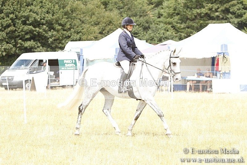 _BS_0988 - Working Hunter Championship BVRC Show 2018