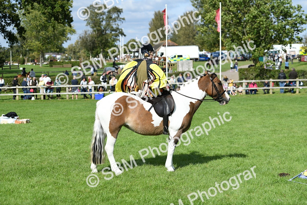 SBM_47127 - S12 - Family Horse & Pony