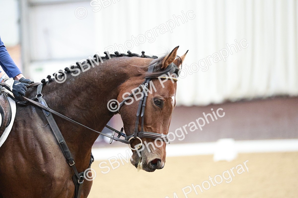 SBM_004305 - Class 2 - Novice 2020