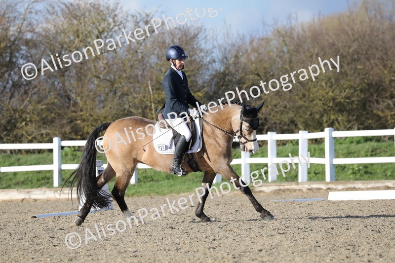 20260314-5881 - DR8 - Elementary 2