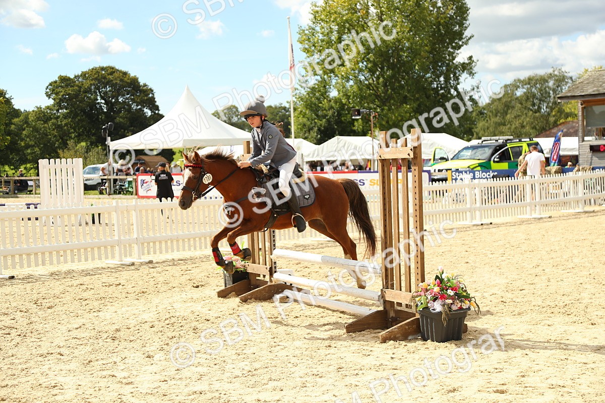 SBM_41339 - J6 - Junior Pony 55cm Championships