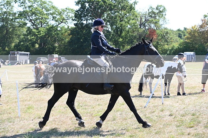WJ6_8282 - Class 37a Best Loan Pony Ridden